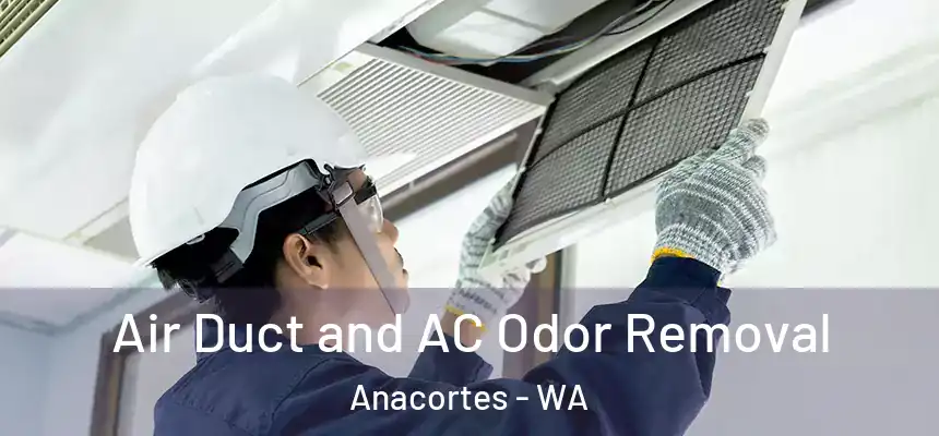 Air Duct and AC Odor Removal Anacortes - WA