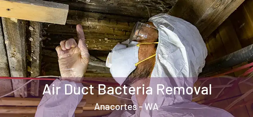  Air Duct Bacteria Removal Anacortes - WA