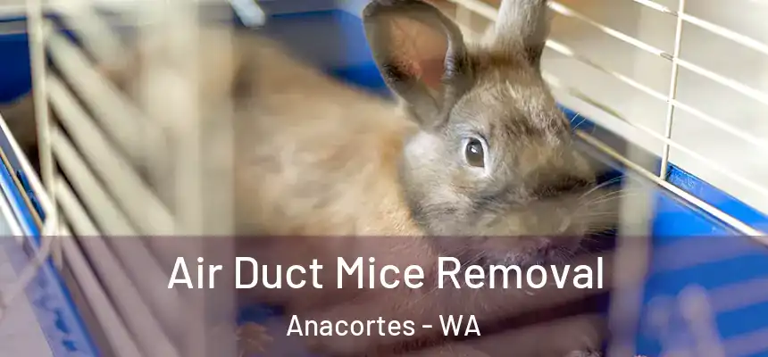  Air Duct Mice Removal Anacortes - WA