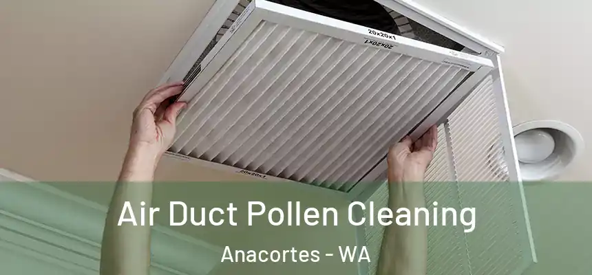 Air Duct Pollen Cleaning Anacortes - WA