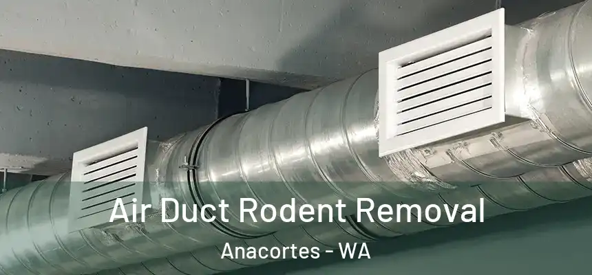 Air Duct Rodent Removal Anacortes - WA