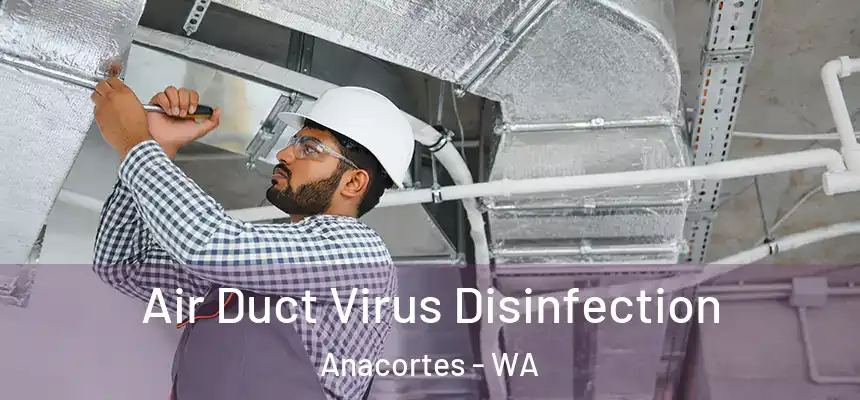 Air Duct Virus Disinfection Anacortes - WA