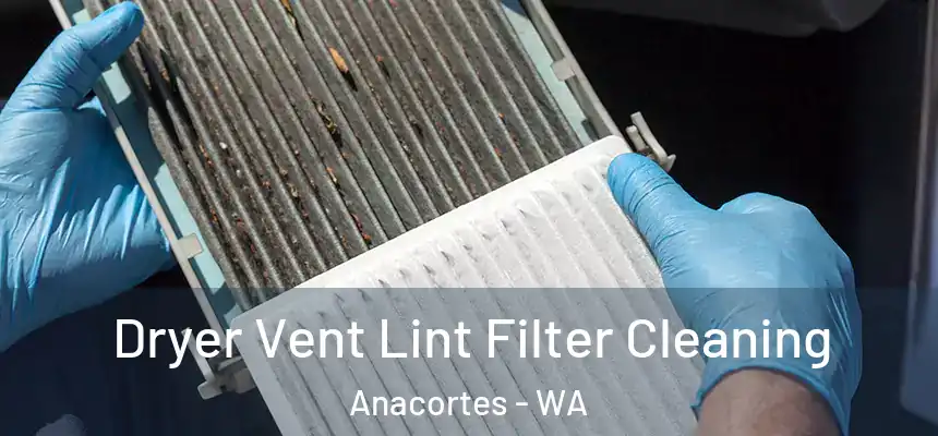 Dryer Vent Lint Filter Cleaning Anacortes - WA