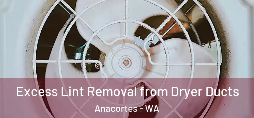 Excess Lint Removal from Dryer Ducts Anacortes - WA