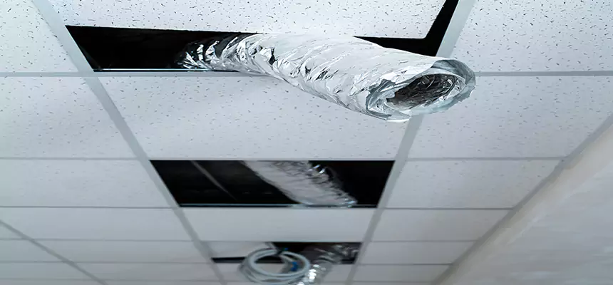 Our Air Duct Pet Hair Removal Services in Anacortes, WA