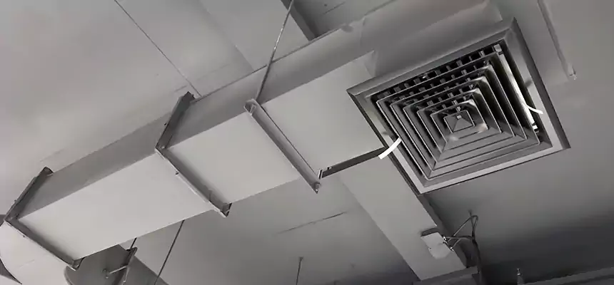 Restorative Allergy Relief Vent Cleaning – Coil, Blower & Housing Detail in Anacortes