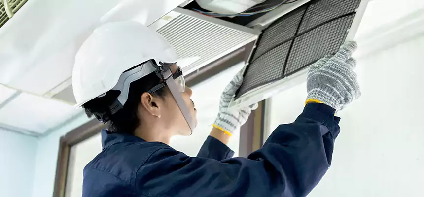 Our Mold & Mildew Removal from Air Ducts Services in Anacortes, WA