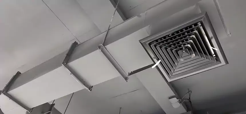 Our Pest Removal From Ducts Services in Anacortes, WA