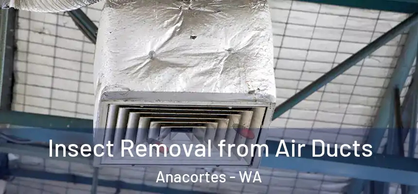  Insect Removal from Air Ducts Anacortes - WA