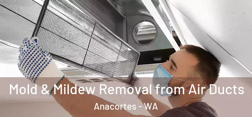  Mold & Mildew Removal from Air Ducts Anacortes - WA