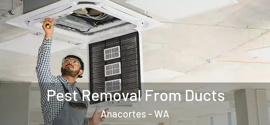 Pest Removal From Ducts Anacortes - WA