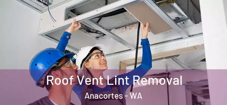 Roof Vent Lint Removal Anacortes - WA