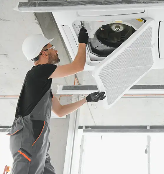 About Air Duct Rodent Removal in Anacortes, WA