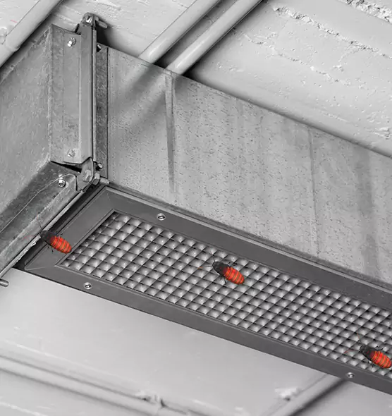 Affordable Insect Removal from Air Ducts in Anacortes, WA