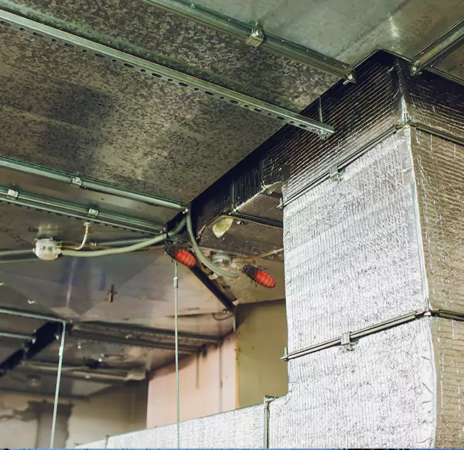 Why Homeowners & Businesses Trust Us in Anacortes, WA?