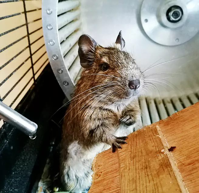 Why Homeowners & Businesses Trust Us Anacortes, WA