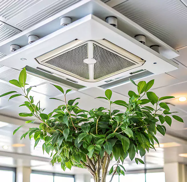 Why Homeowners & Businesses Trust Us in Anacortes, WA?